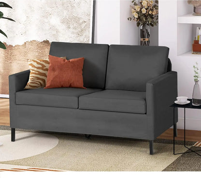 Modern Small Loveseat Sofa Couch for Living Room