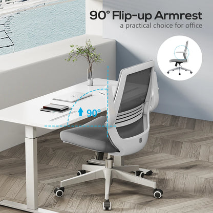 Ergonomic Office Chair with Lumbar Support