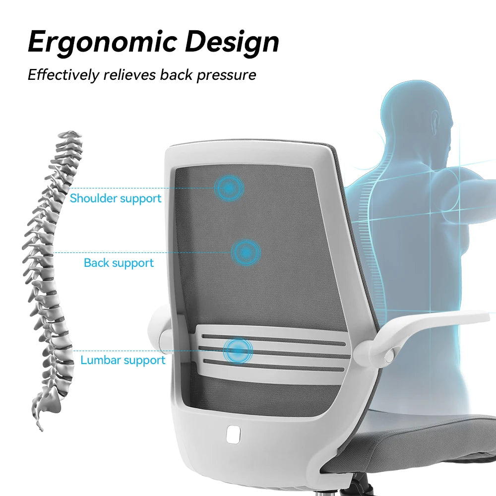 Ergonomic Office Chair with Lumbar Support