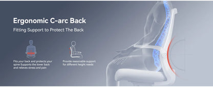 Ergonomic Office Chair with Lumbar Support