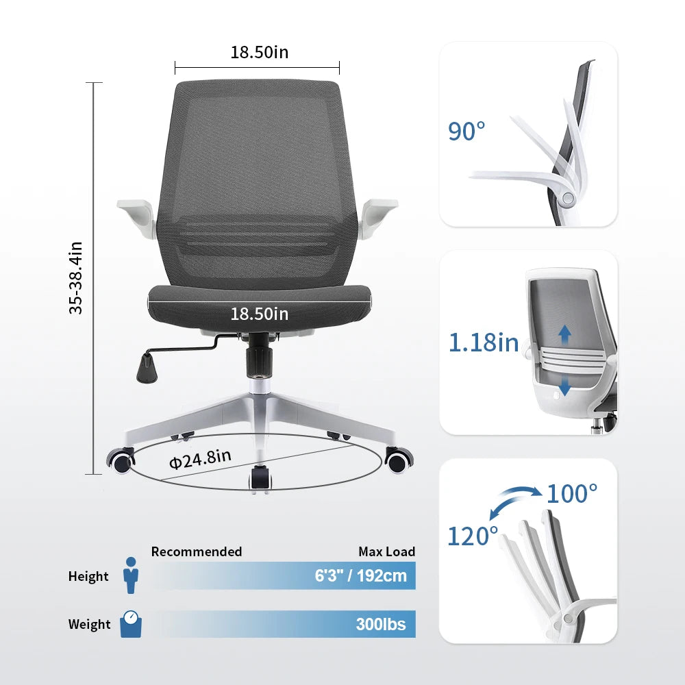 Ergonomic Office Chair with Lumbar Support