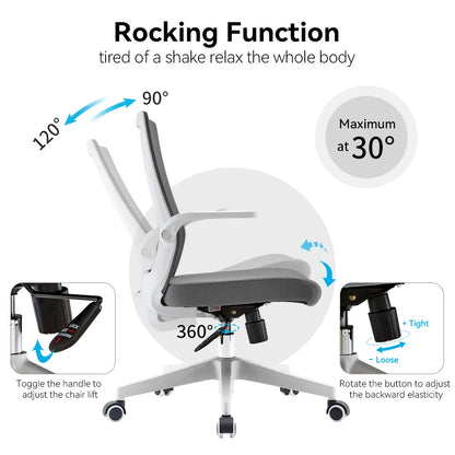 Ergonomic Office Chair with Lumbar Support