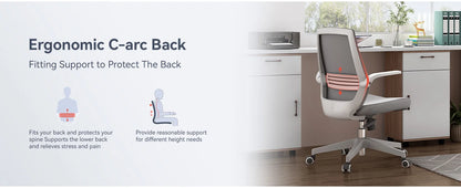 Ergonomic Office Chair with Lumbar Support